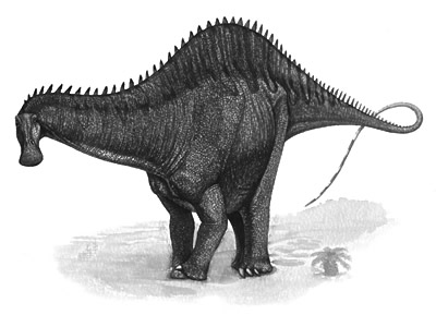 An artist's impression of Rebbachisaurus