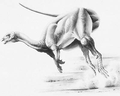 An artist's impression of Yandusaurus